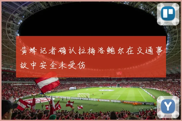 黄蜂记者确认拉梅洛鲍尔在交通事故中安全未受伤