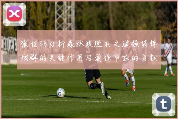 张佳玮分析森林狼胜利之道强调锋线群的关键作用与爱德华兹的贡献